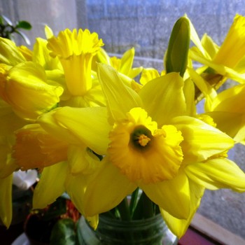 окажет помощь