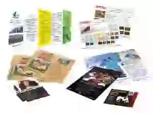 izgotovlenie-listovok