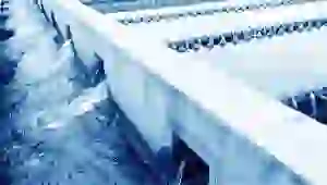 uchenye-poobeshhali-ochistit-morya-ot-rtuti