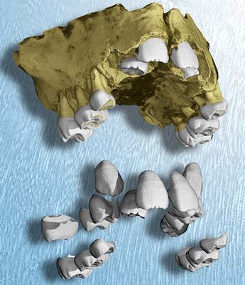 современного типа