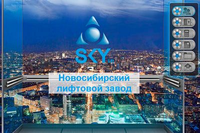префронтальной коре префронтальной коре