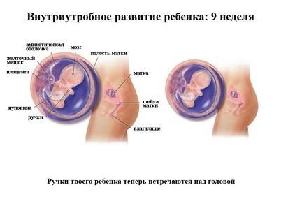 неделя неделя