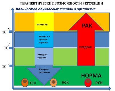 мозг мозг