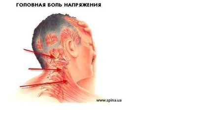 мозг мозг