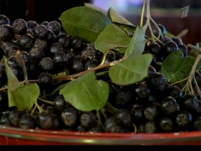 собственных сородичей