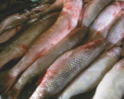 данный момент