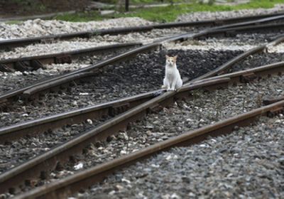 укрзализныця