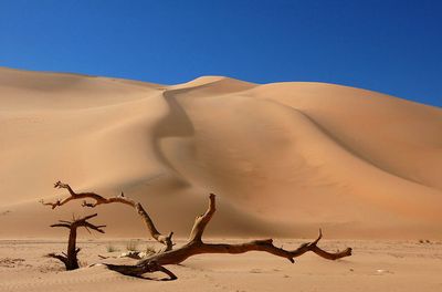 астрофизик