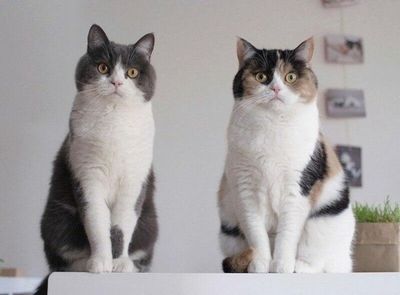 гравитационного притяжения