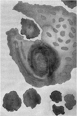 исследование