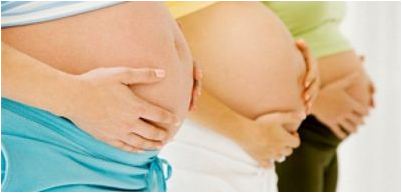 микроорганизм