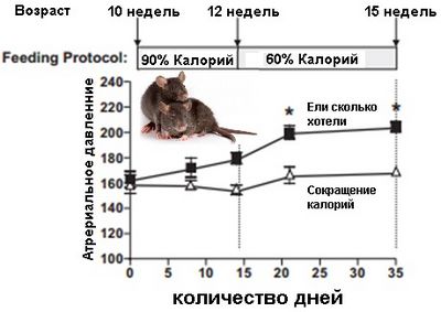 сокращение